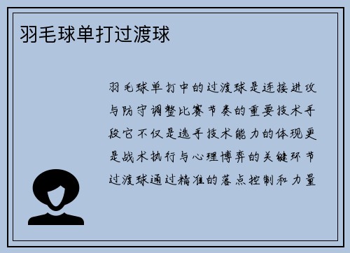 羽毛球单打过渡球